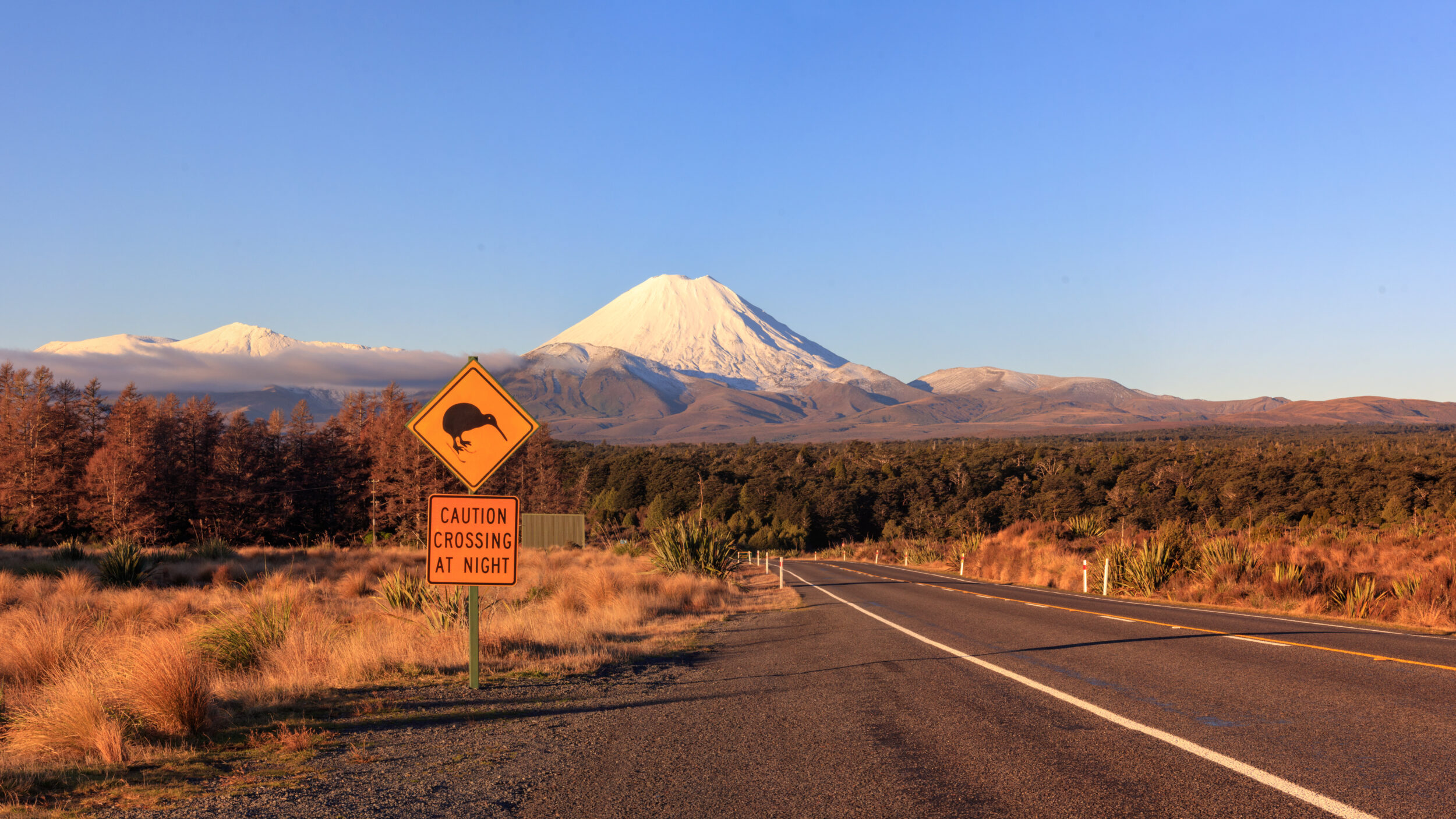 Tour Nova Zelândia UpSerra — Lindis Pass