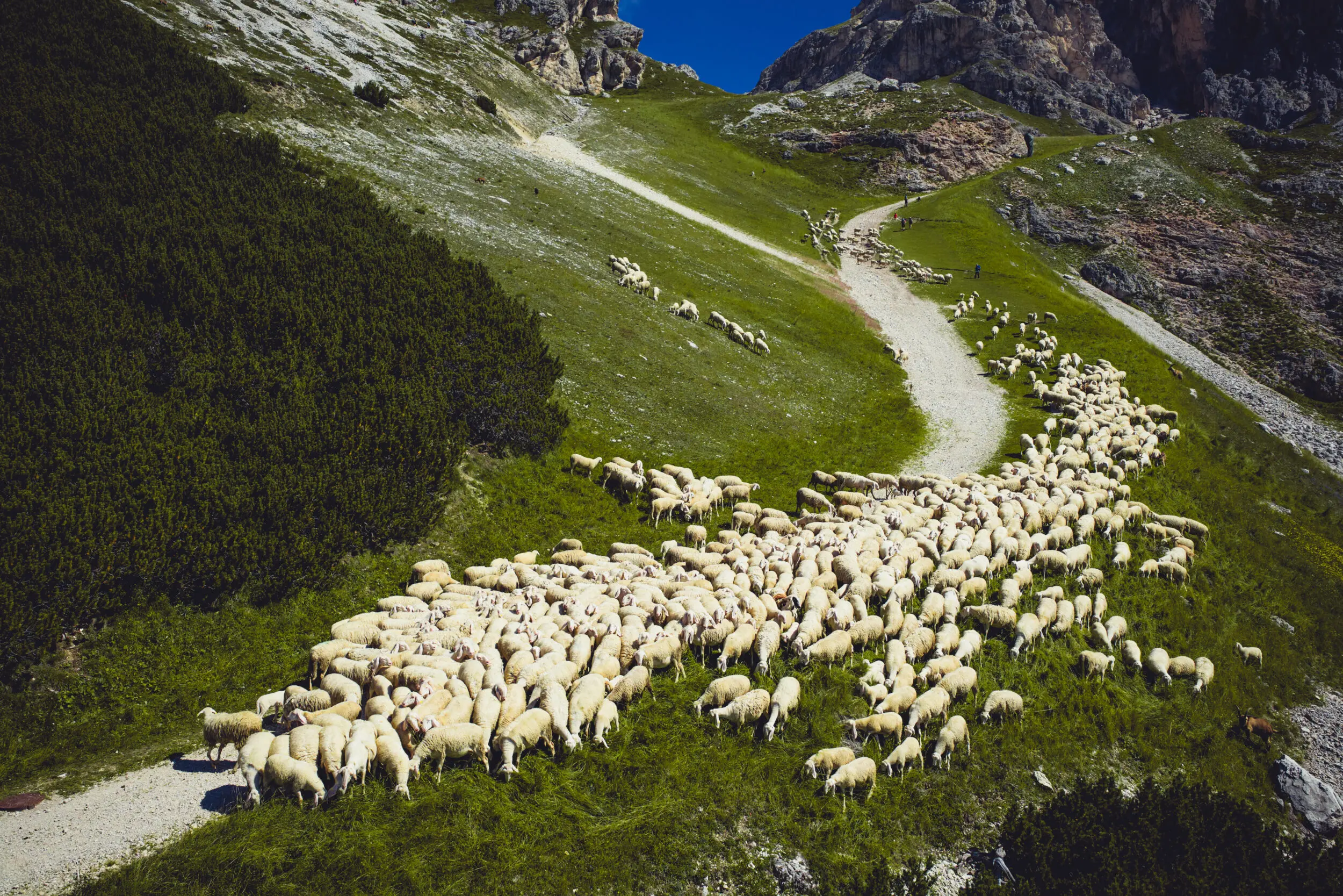 Tour Alpes UpSerra — Andermatt