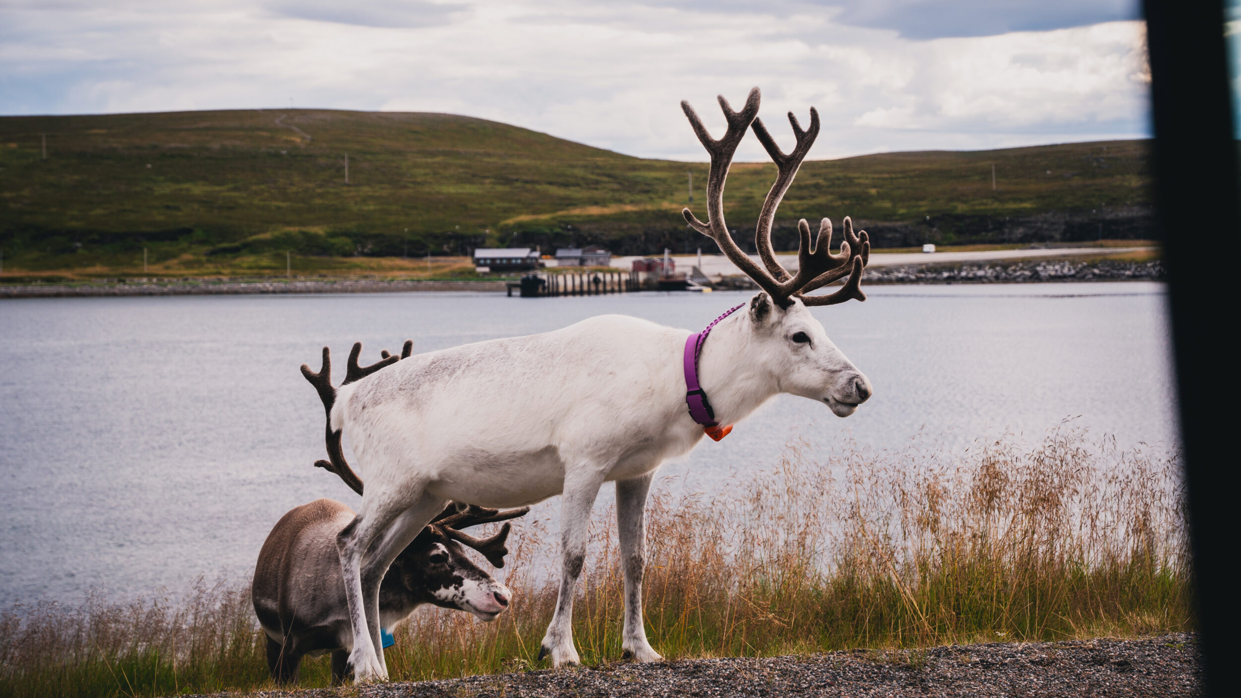 Tour Moto Escandinávia UpSerra — Geiranger