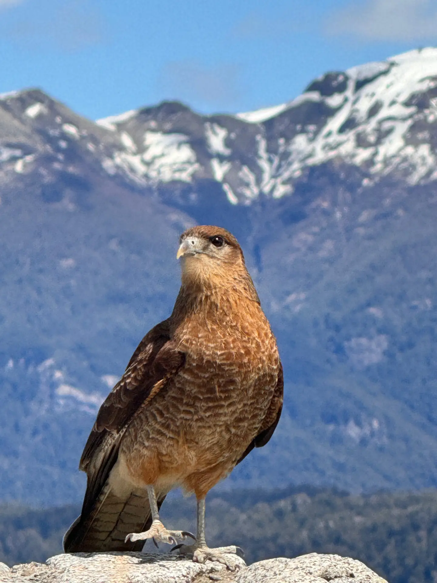 Tour Lagos e Vulcões Fly&Ride UpSerra — Vulcão Osorno