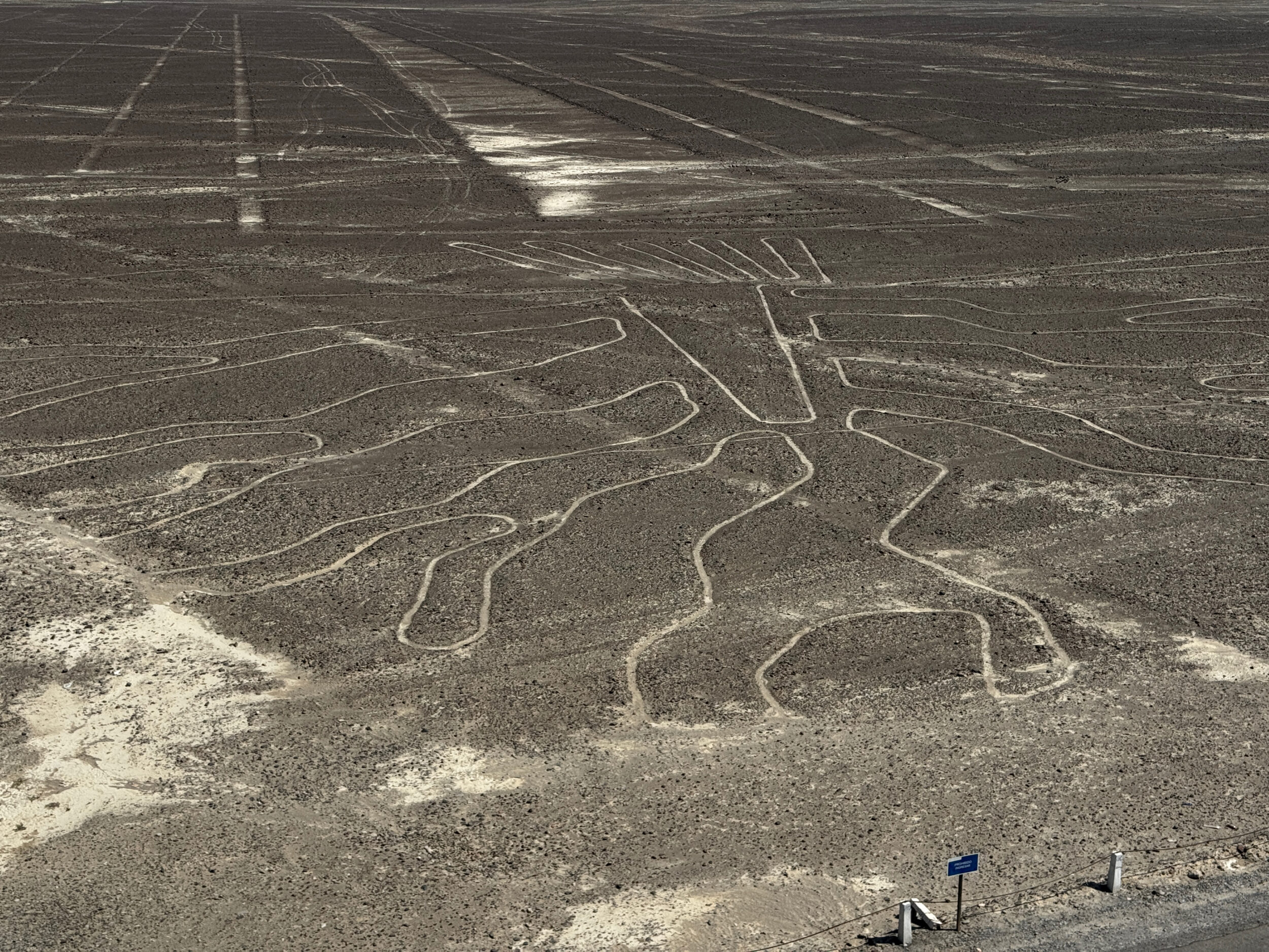 Linhas de Nazca vistas do alto, riscadas no deserto do sul do Peru