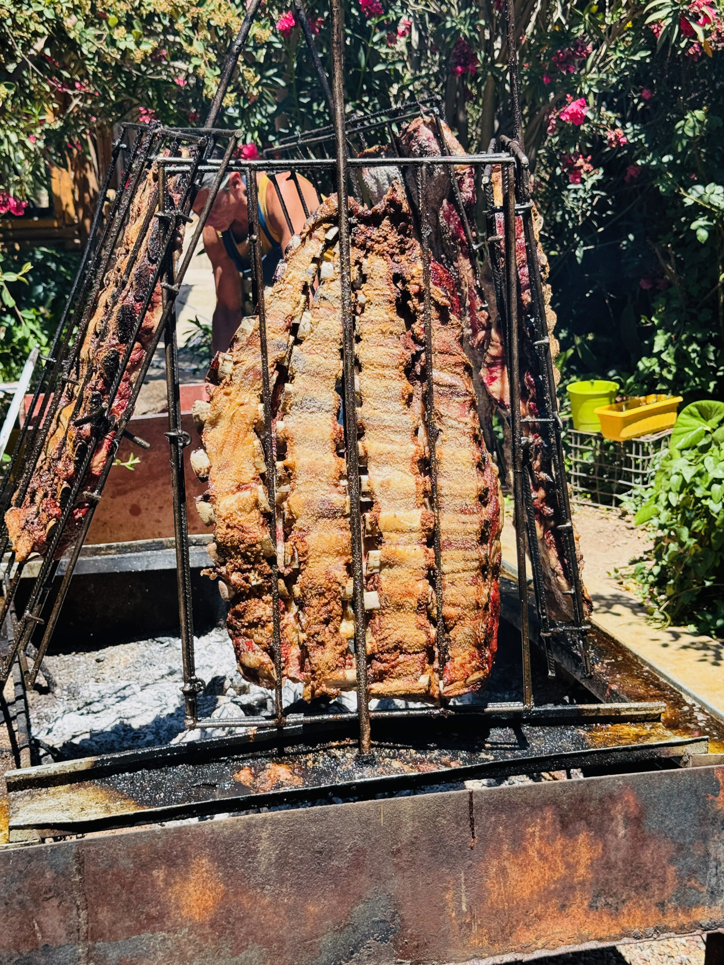 Tour Mendoza UpSerra — Assado argentino