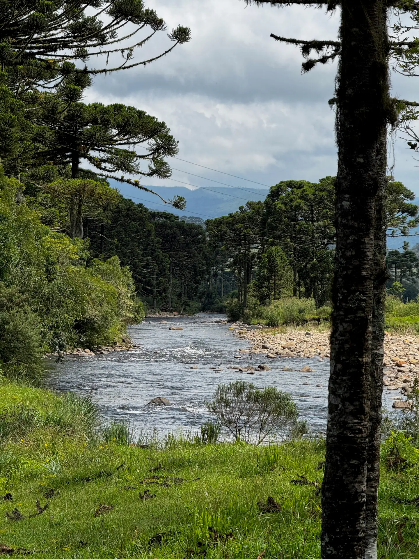 Grupo UpSerra Days em momento de descontração na Serra Catarinense