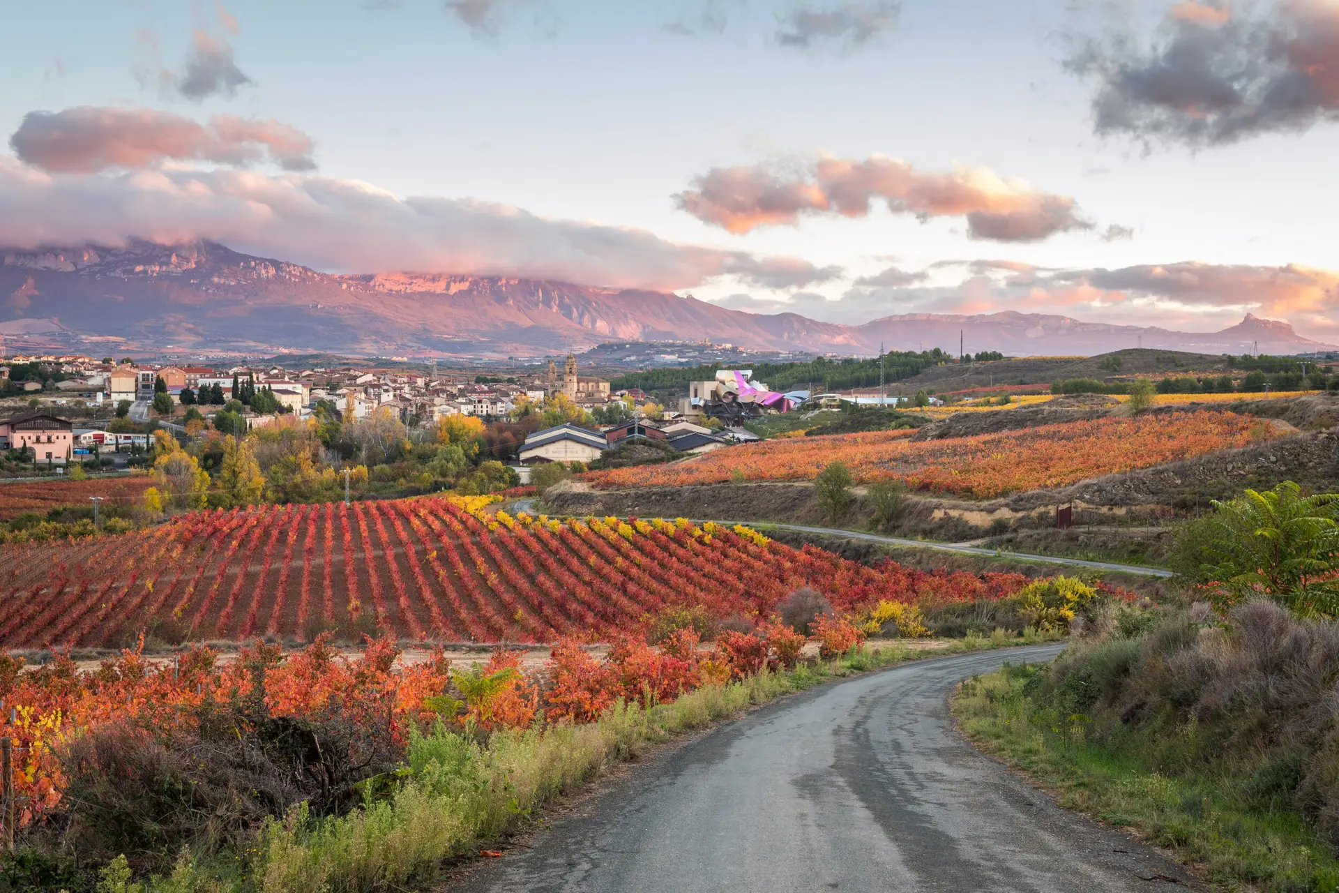 Napa Valley — vinhedos da Califórnia vistos do ar