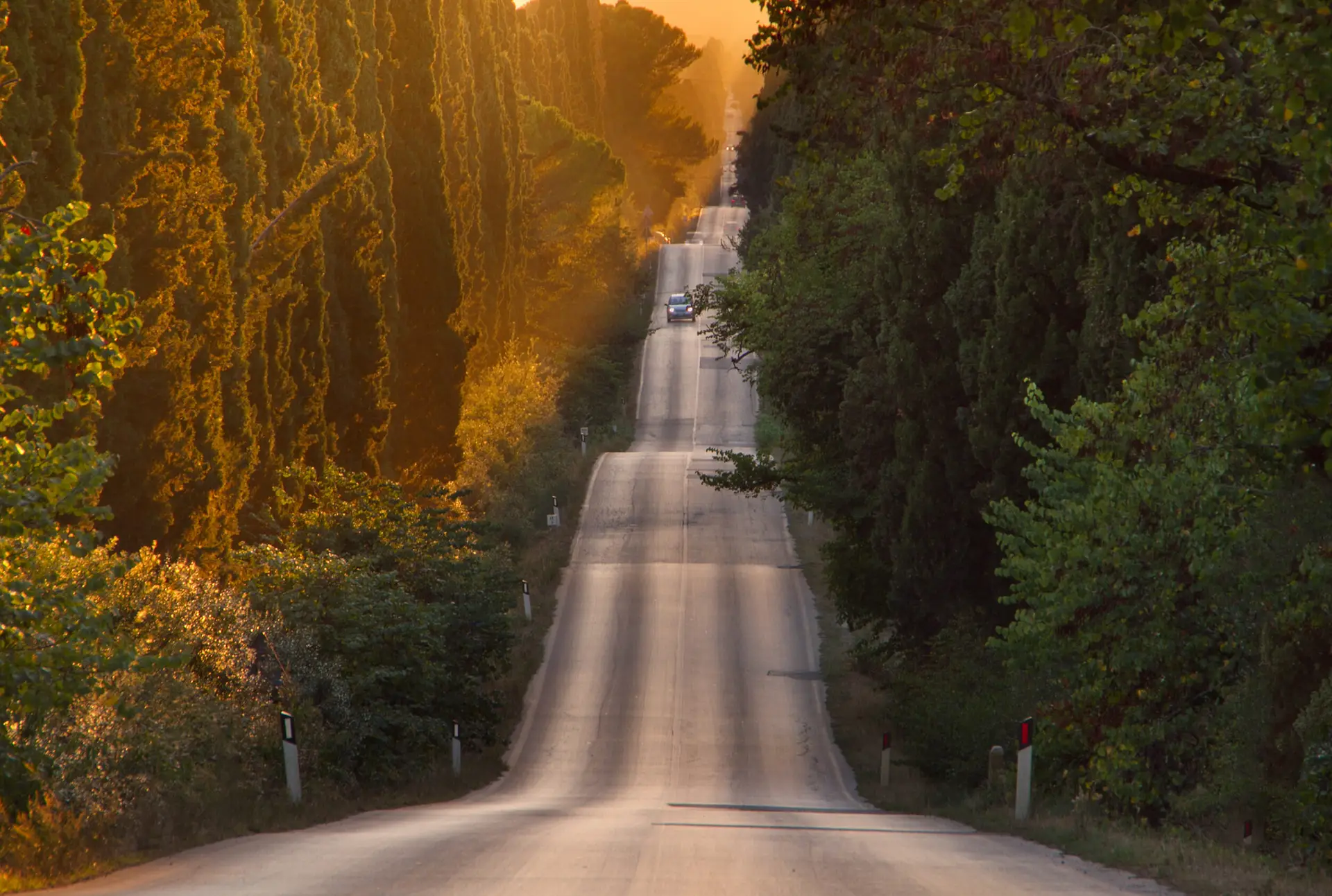 Castagneto Carducci — Tour Toscana UpSerra