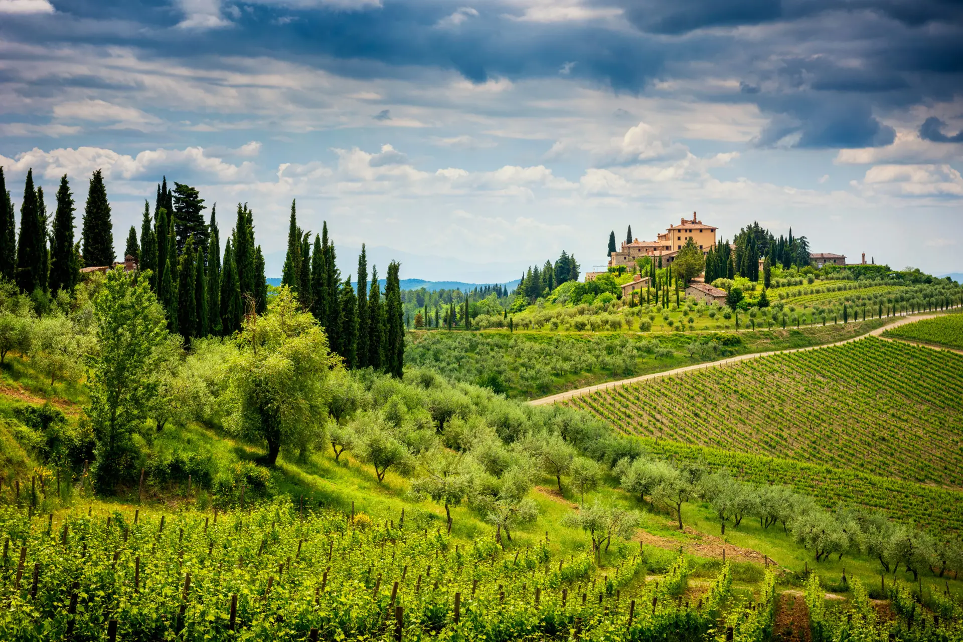 Vinhedos do Chianti — Tour Toscana UpSerra