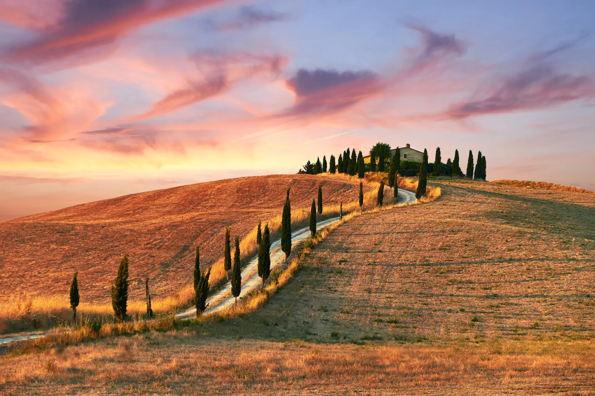 Estrada toscana — Tour Toscana UpSerra