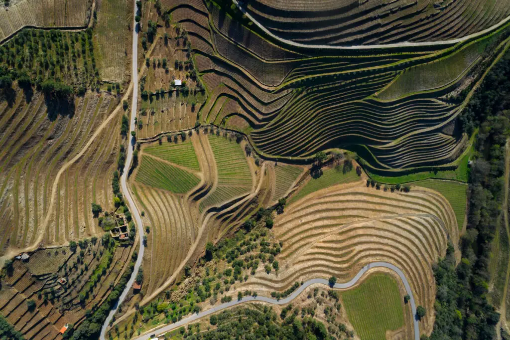 Os socalcos do Douro vistos do alto · Portugal Definitivo 2027